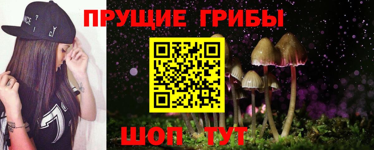 Ухта  Галлюциногенные грибы Psilocybine cubensis  Вход с VPN 